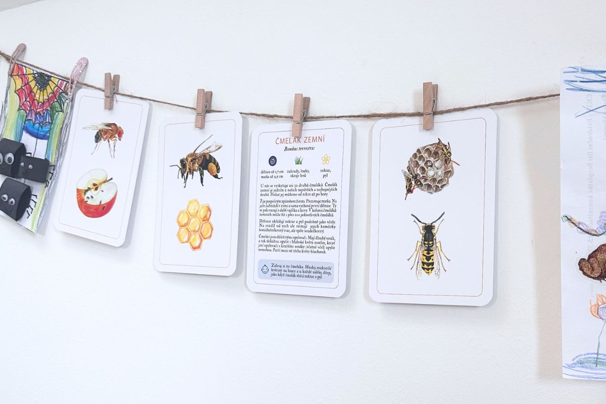 jak-vyuzit-karticky-priroda-do-kapsy-vystavka