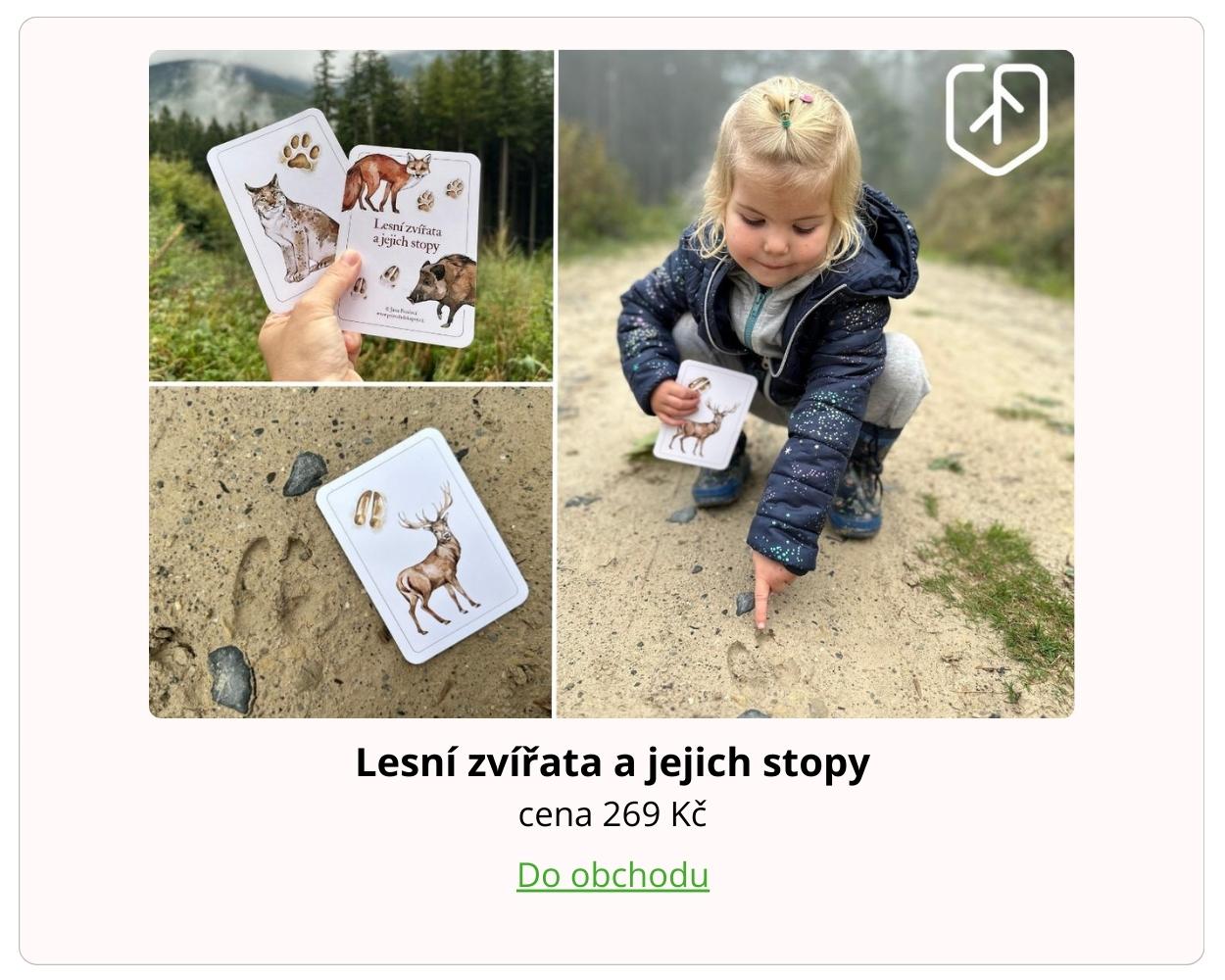 stopy lesních zvířat na kartičkách