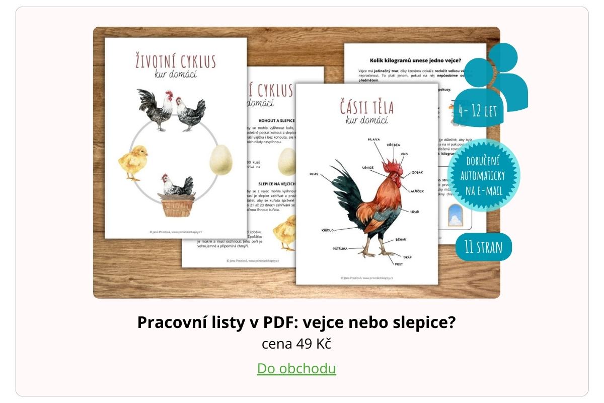 pdf-pracovni-listy-kur-domaci