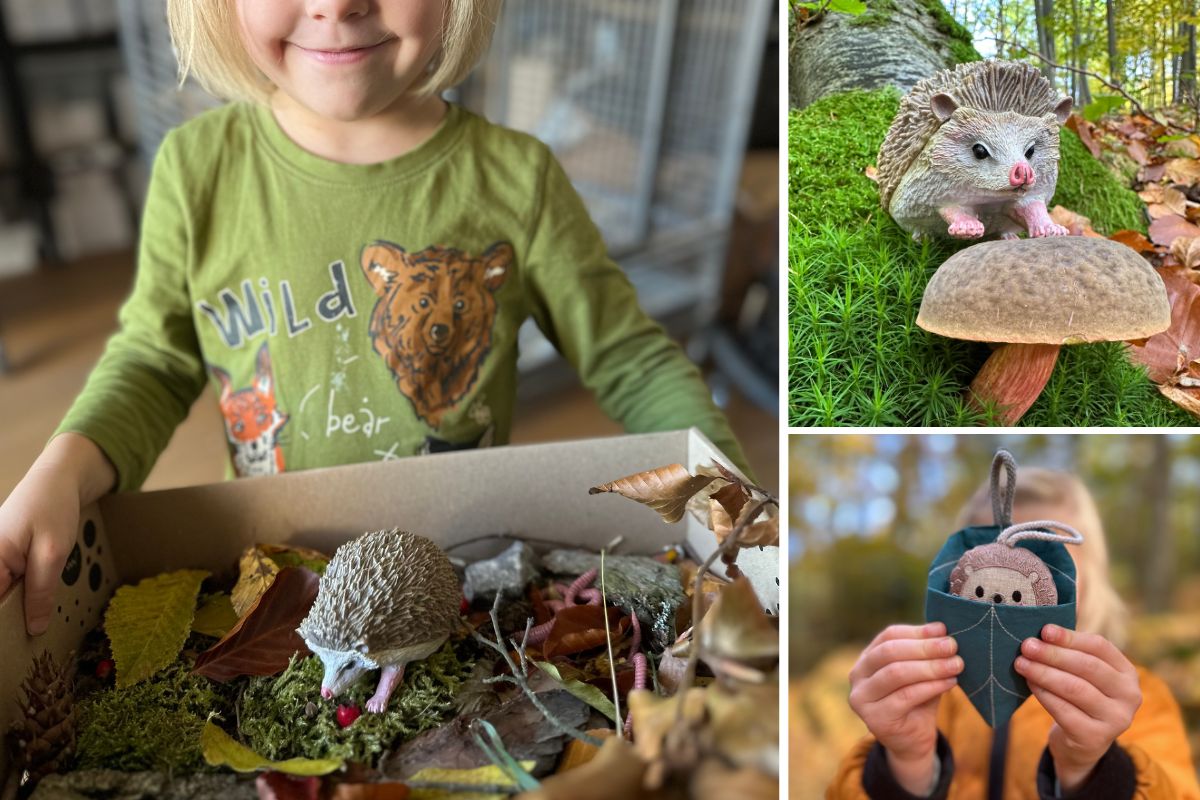 podzimni-aktivity-s-jezkem