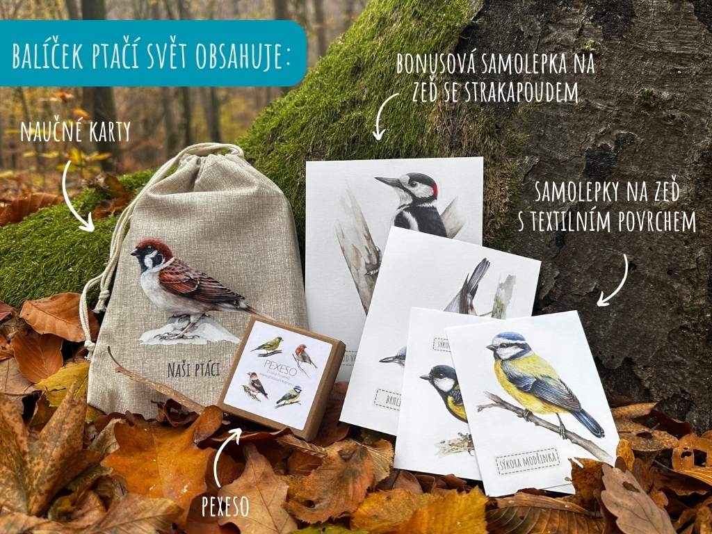 ptaci-svet-balicek-pro-male-objevitele-obsah