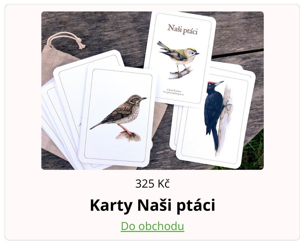 vyukove-karty-nasi-ptaci