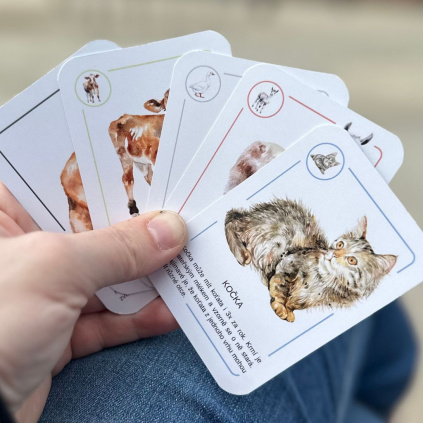 karetni hra domaci zvirata a jejich mladata