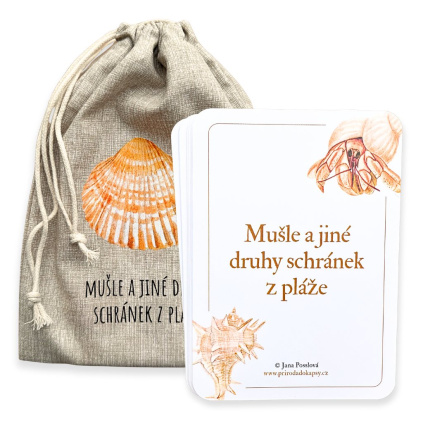 karty morske musle druhy jine druhy schranek (3)