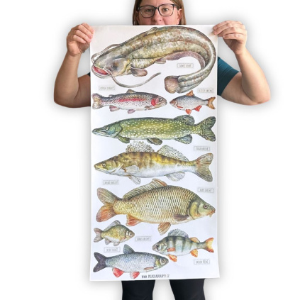 samolepky ceske ryby v zivotni velikosti 2
