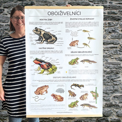 vyukovy skolni plakat obojzivelnici