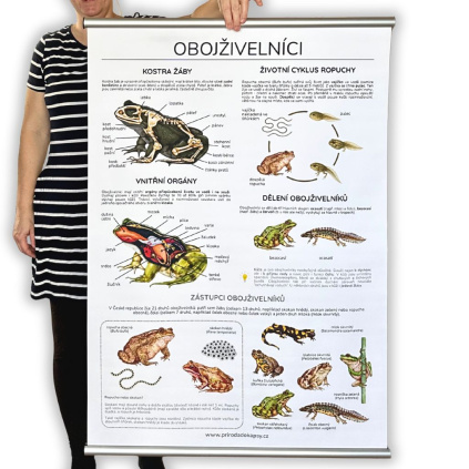 velky skolni plakat obojzivelnici