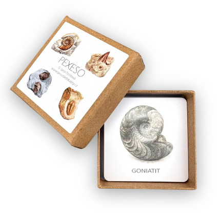 pexeso zkameneliny krabicka