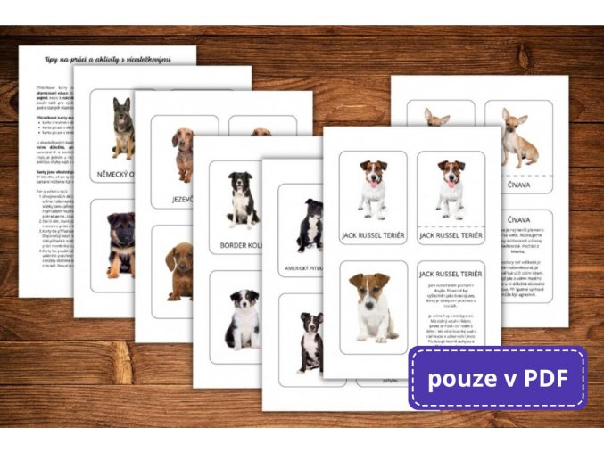 Karty v pdf - vícesložkové karty plemena psů a štěňata