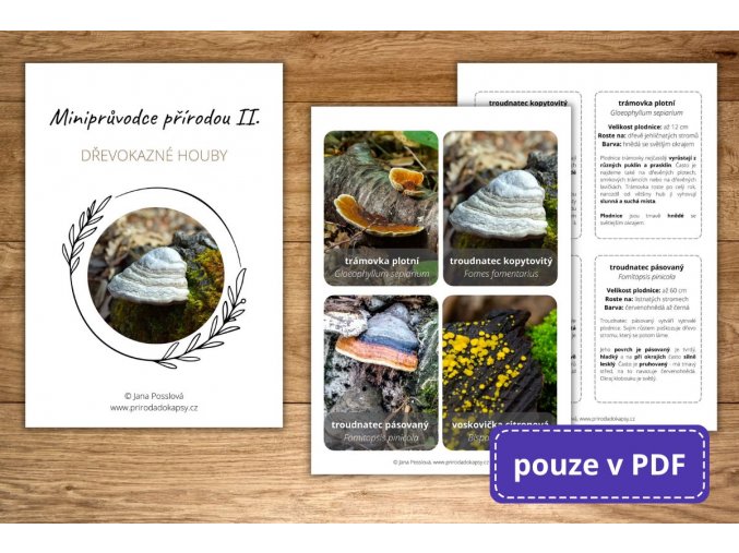 Mockup PDF (3)