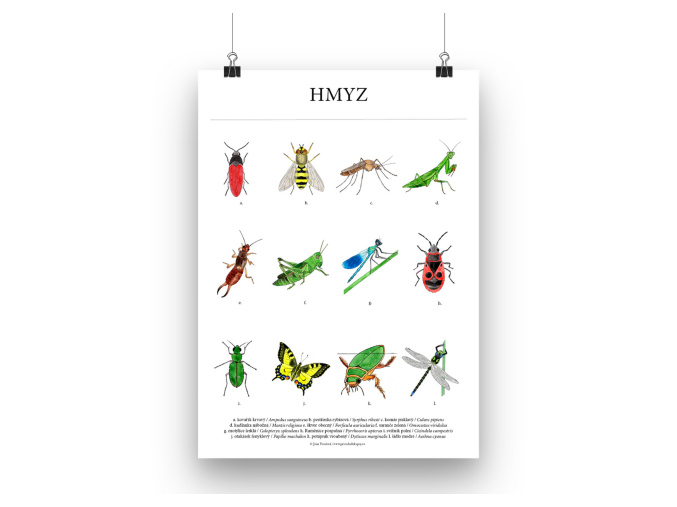 Hmyz plakat mockup