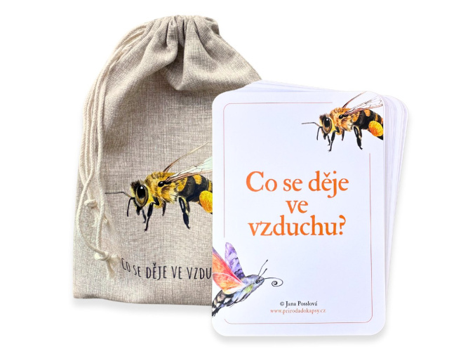 karty o hmyzu co se deje ve vzduchu4