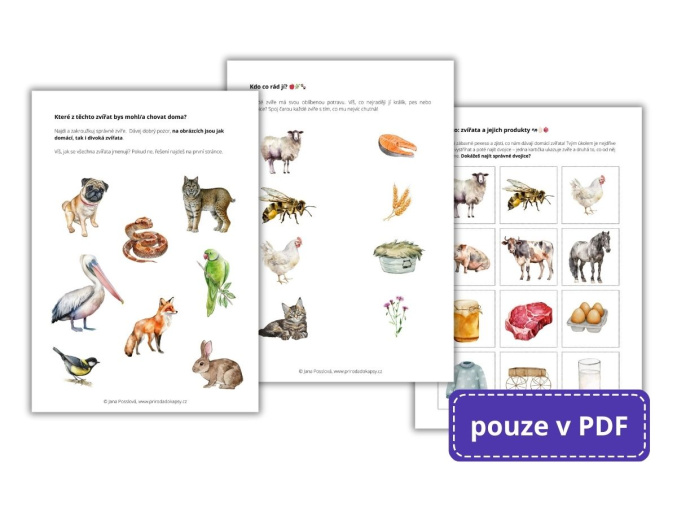 mladata domaci zvirata pracovni list2