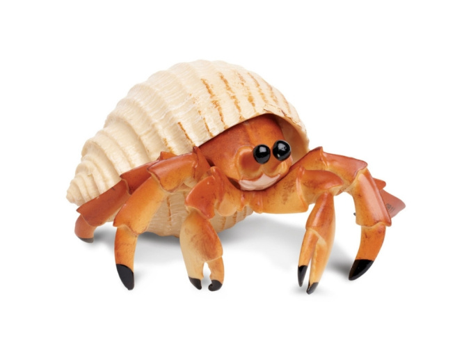 hracka krab poustevnik1