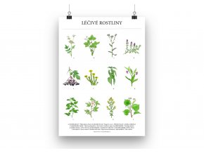 Lecive rostliny plakat mockup