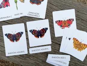 Trislozkove karty motyli