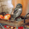 vyrezavany dreveny ptacek sycek obecny 2
