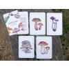 Vyukove karty jedle houby priroda do kapsy 1