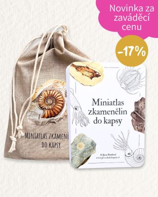 🦈 Žralok velký jako autobus? A to není zdaleka to jediné překvapení! Nové karty Miniatlas zkamenělin do kapsy vás zavedou...