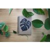 Monstera A6 linky