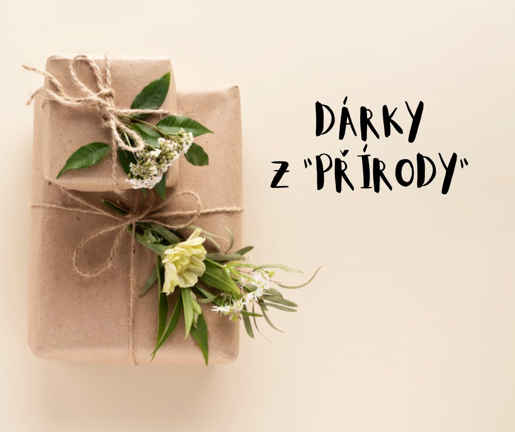 4 tipy na vánoční dárky z "Přírody"