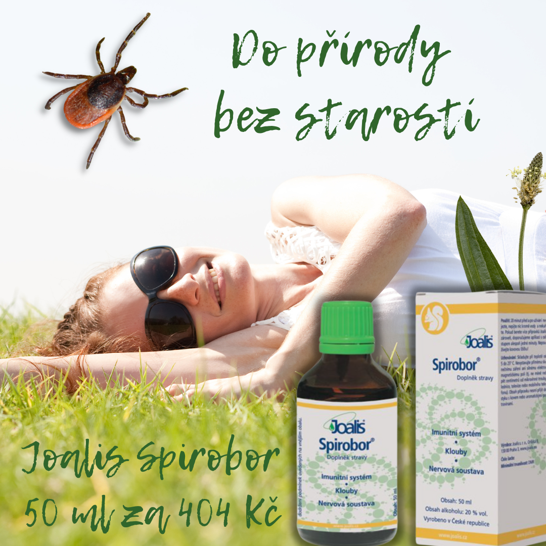 Borelioza - kde se bere a co s ní dál