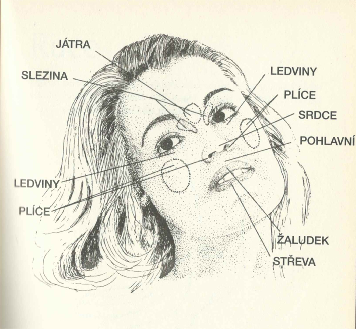 Diagnostika podle pokožky
