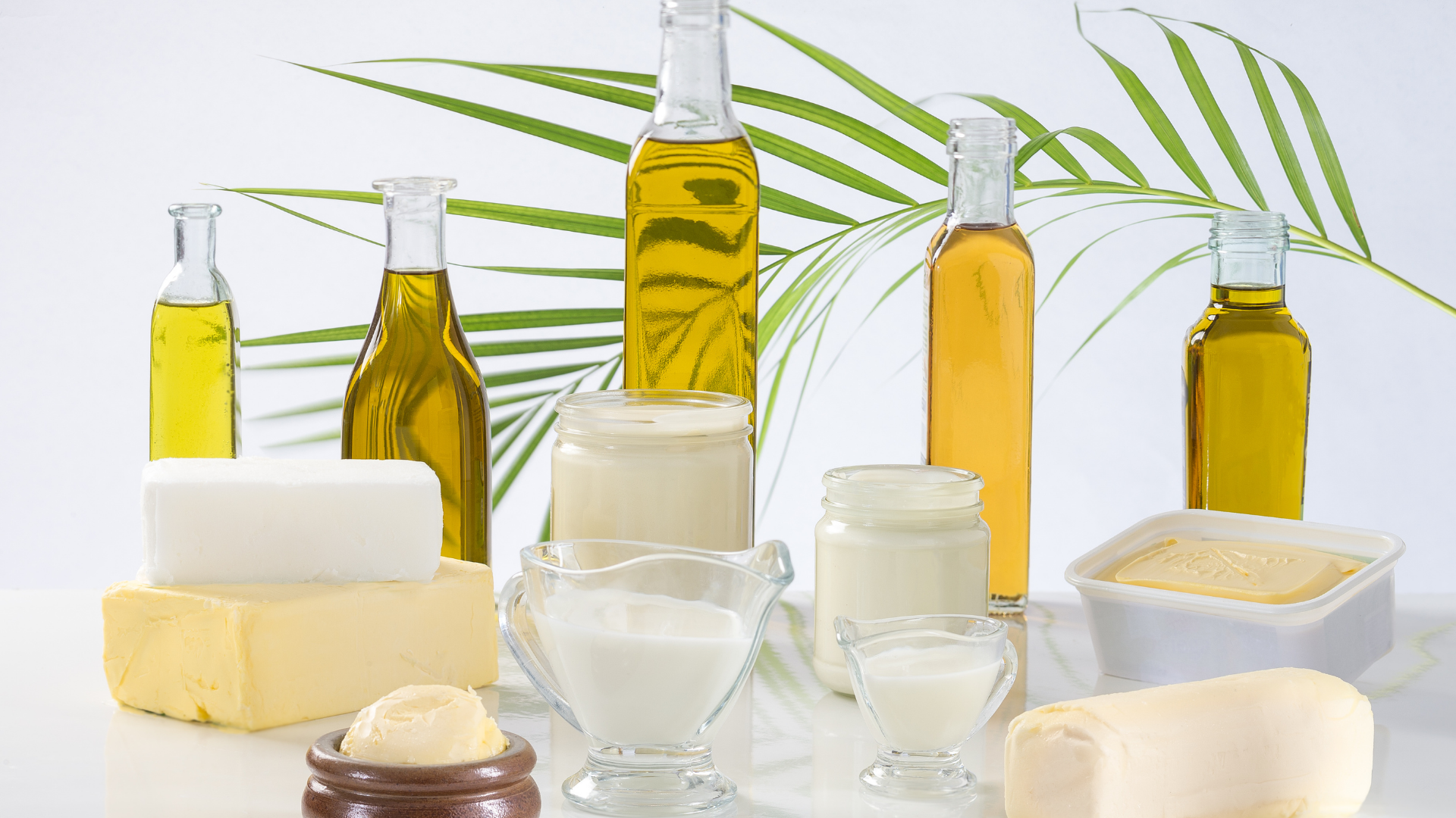 Mechanismy regulace cholesterolu v organismu