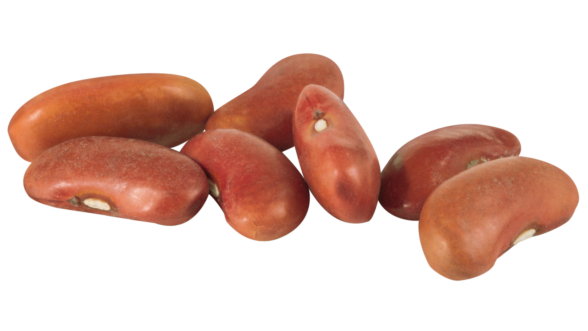 Ledviny a jejich funkce