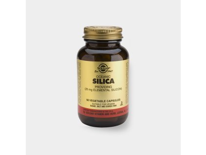 ev silica 900x900