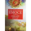 Jak zvládat emoce pomocí obrazů živlů - Ing. Jelínek