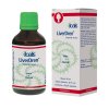 Joalis LiverDren® (Liver Dren) 50 ml - péče o játra a žlučník