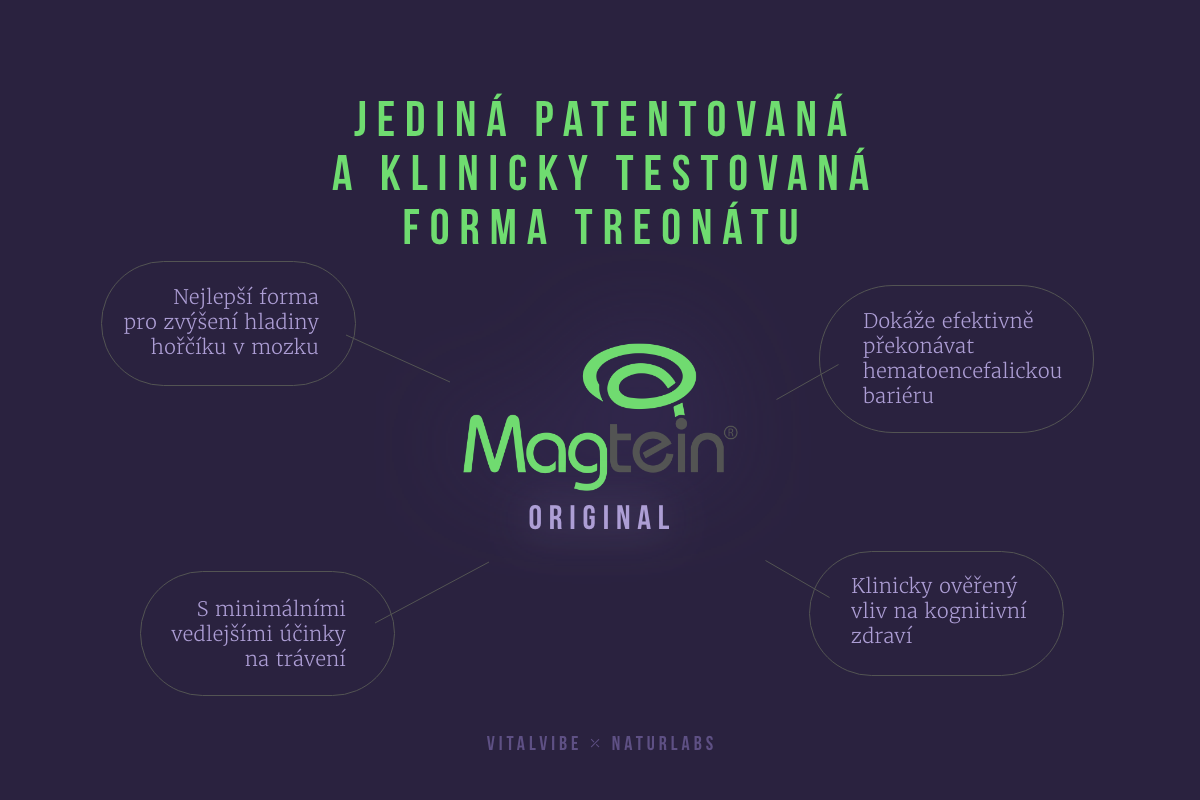 banner-1200x800-infografika-magtein-8