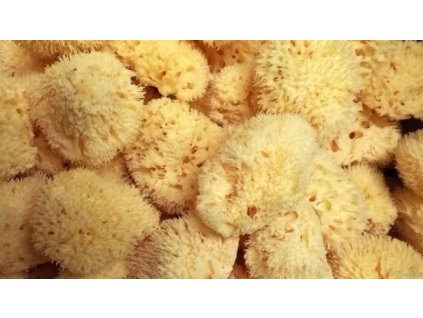 Přírodní mořská houba koupelová - Středomořská - HONEYCOMB -Bellini Mineral
