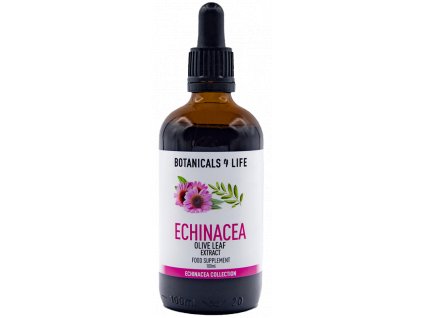 echinacea olivové listy