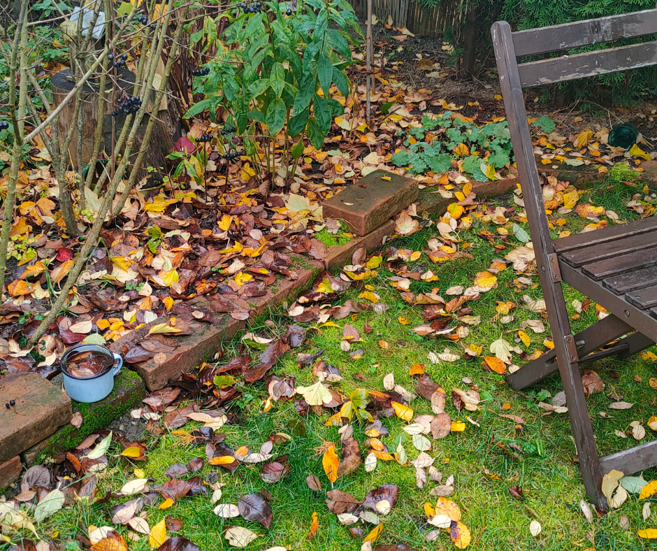 Proč na podzim v zahradě neshrabávat listí