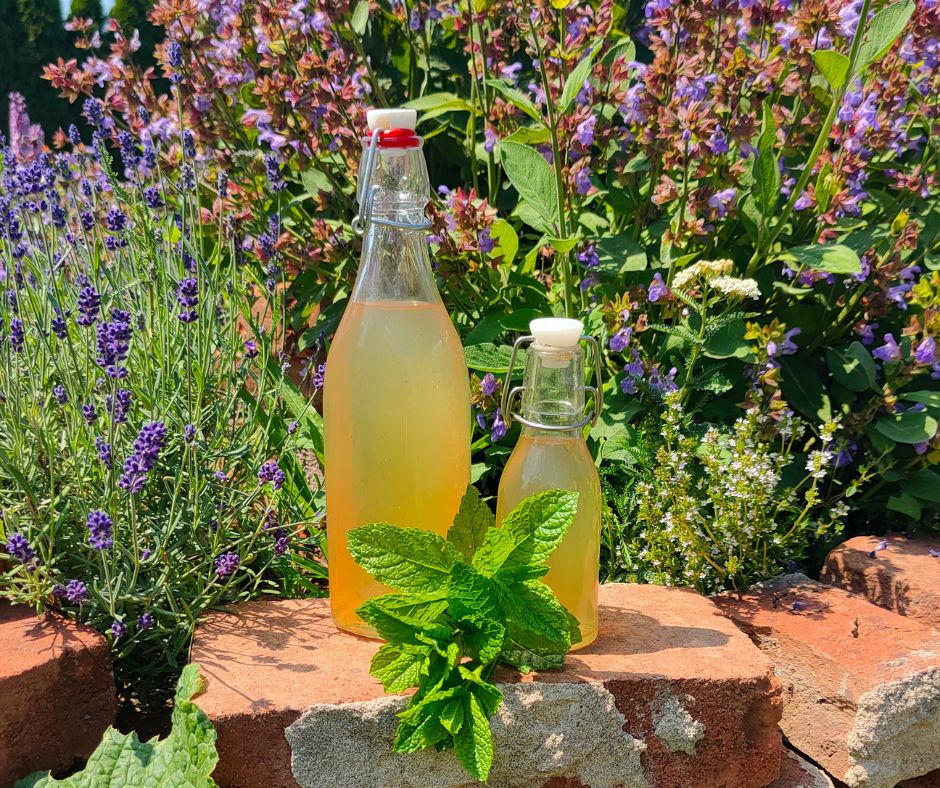 Dva recepty na domácí mátový sirup