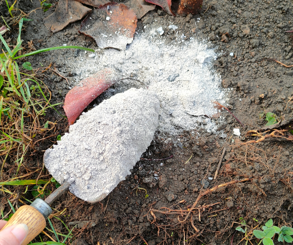 Popel ze dřeva dokonale poslouží ve vaší zahradě