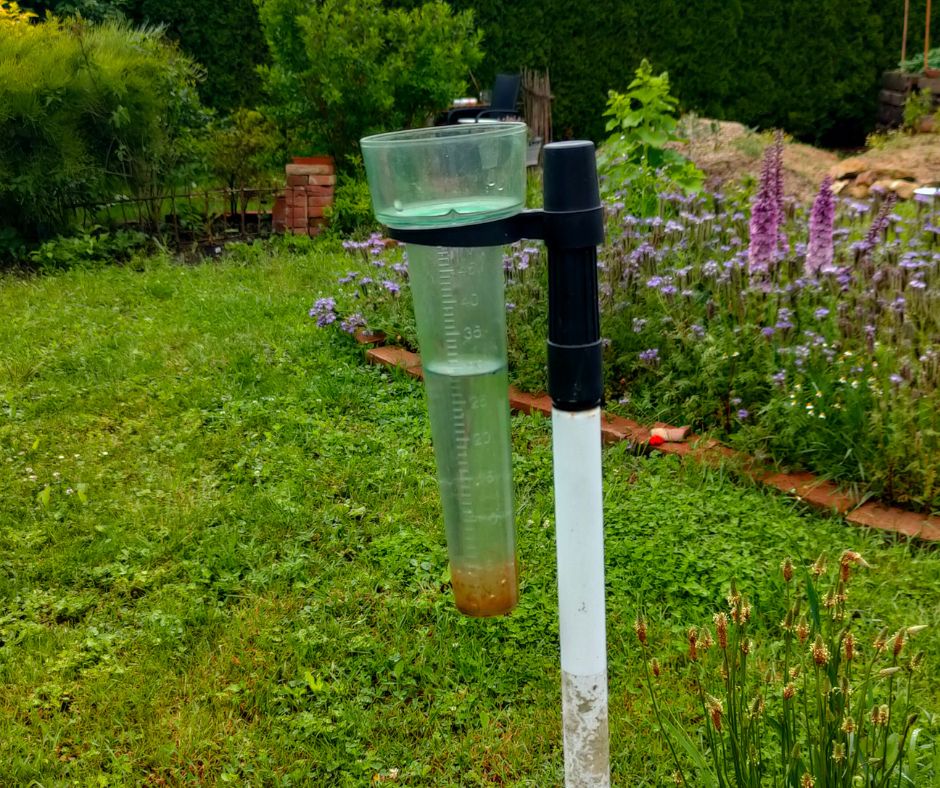 Jak číst ze srážkoměru a kolik deště stačí, abyste nemuseli zalévat?