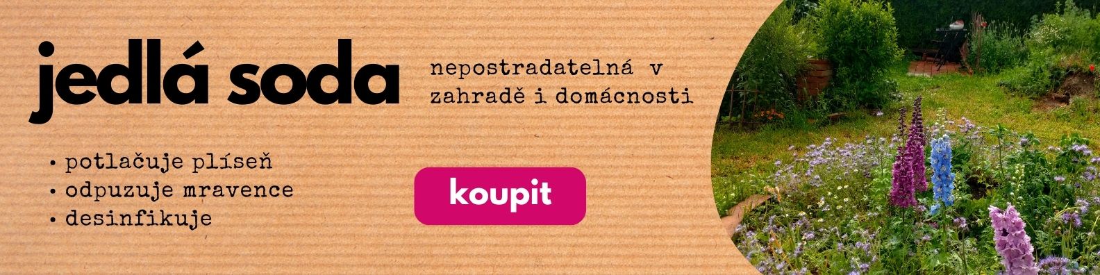 Jedlá soda bicarbona
