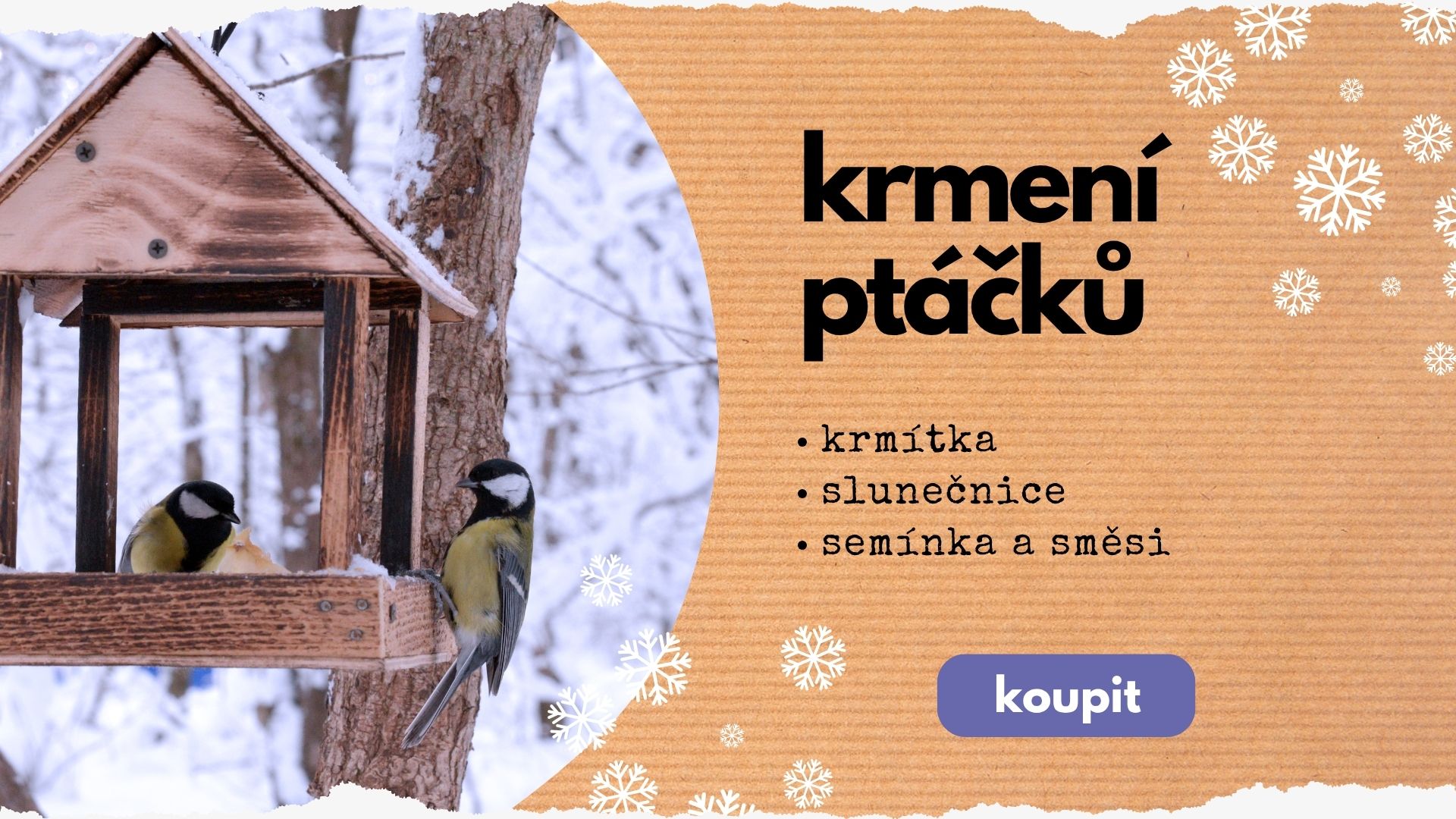 Krmení pro ptáky