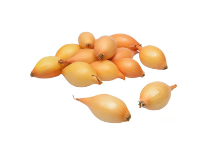 Cibule sazečka ozimá, žlutá - Shakespeare