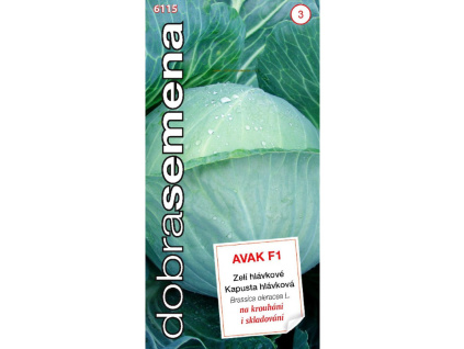 AVAK F1 30 ks Zeli hlavkove