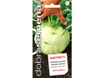 GASTON F1 40 ks Kedluben