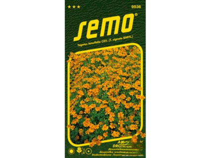 Aksamitník drobnokvětý - oranžový 0,2g