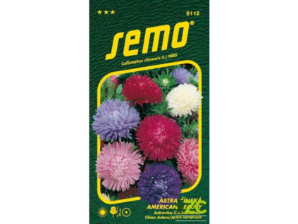 Astra čínská - American beauty směs 0,5g