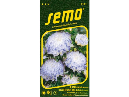 Astra čínská - Duchesse silvery blue 0,5g