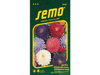 Astra čínská - Super princess směs 80cm 0,5g