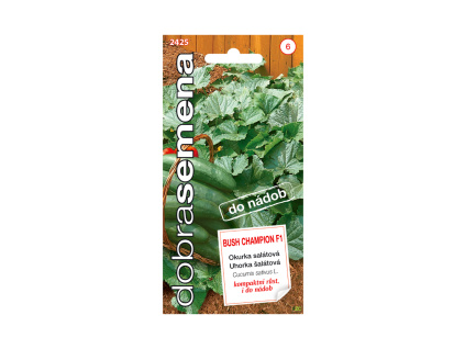 Okurka salátová do nádob - Bush Champion F1