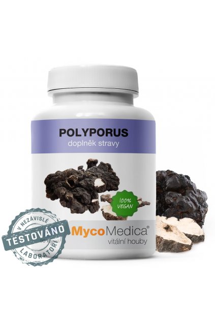 polyporus detail s razitkem 2.761696527